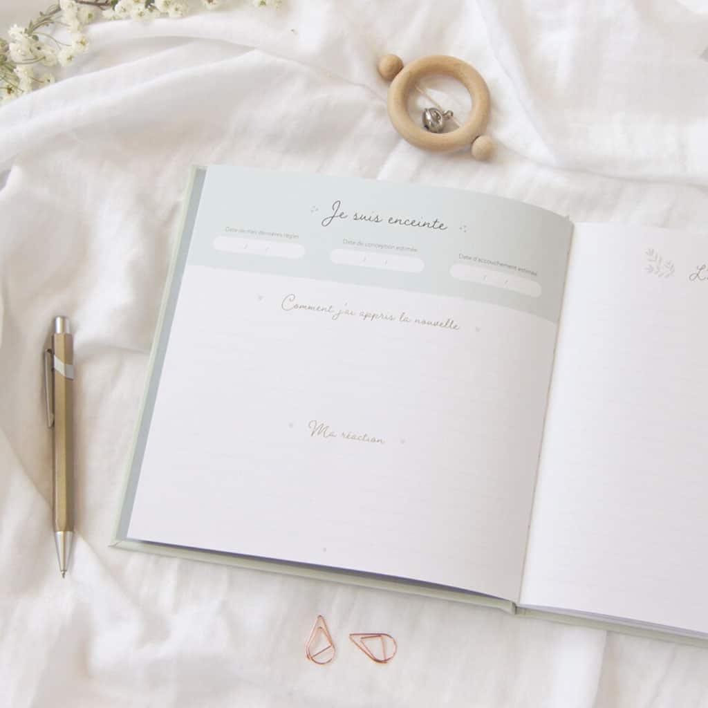 Journal de grossesse zü