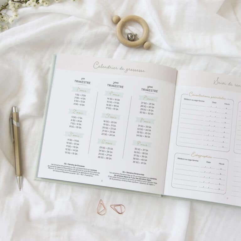 Journal de grossesse zü