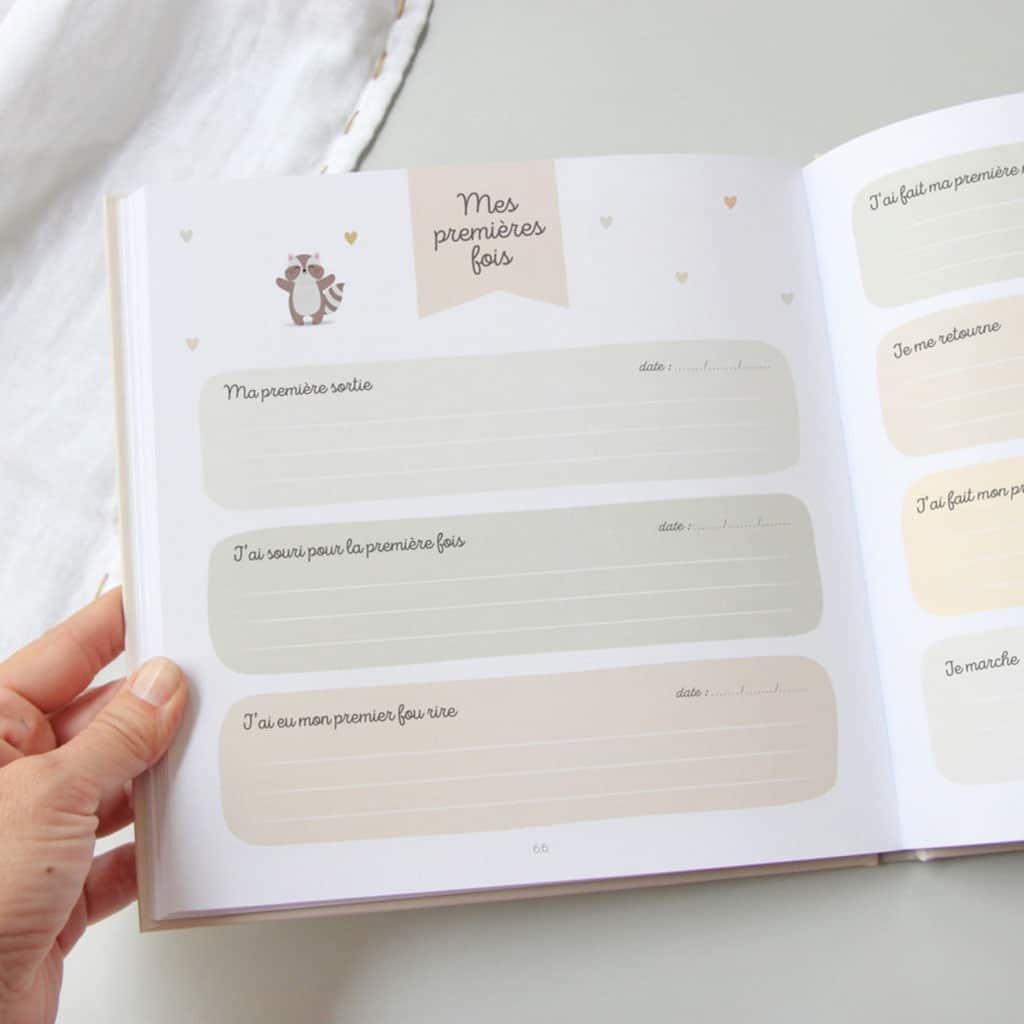 mon journal de bébé mes 2 premières années zü