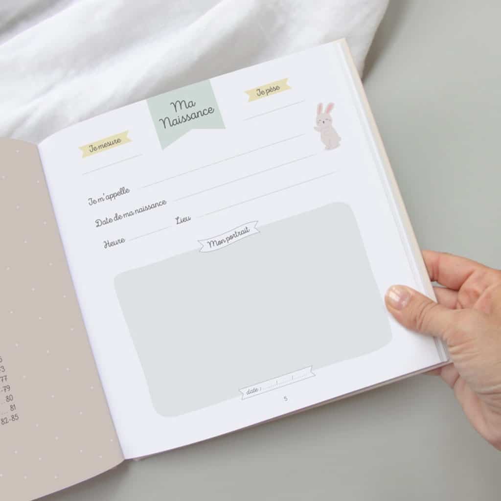 mon journal de bébé mes 2 premières années zü