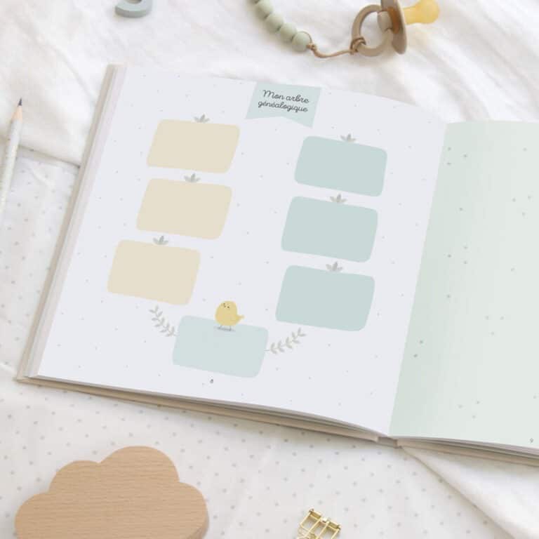 mon journal de bébé mes 2 premières années zü