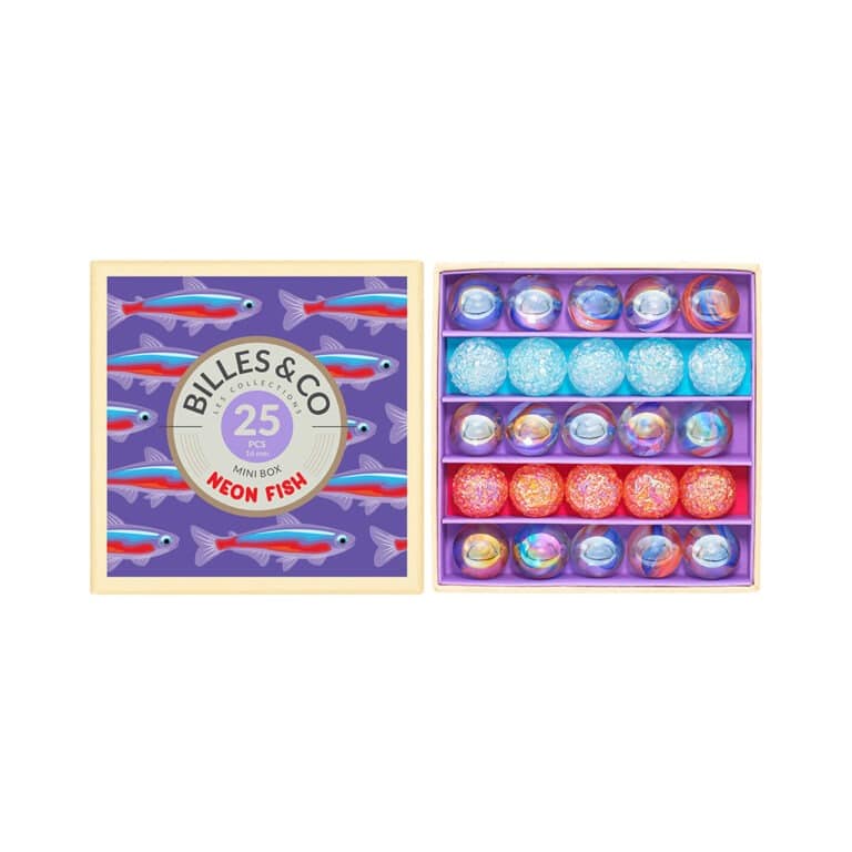 mini coffret neon fish