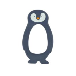 anneau dentition pingouin de face fond blanc