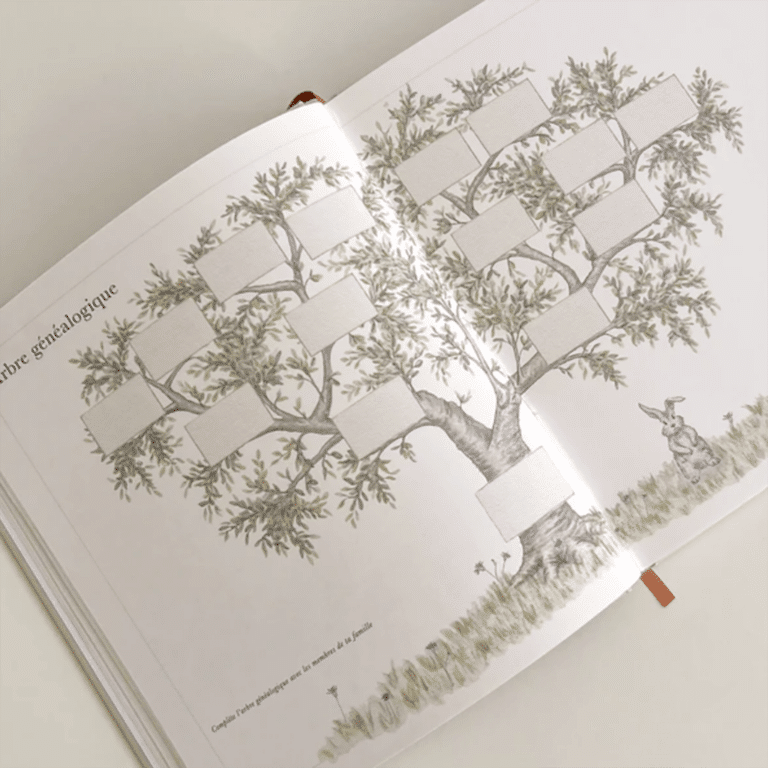 un livre de naissance camcam, ouvert