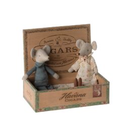 souris grand-père et grand-mère assis dans leur boîte