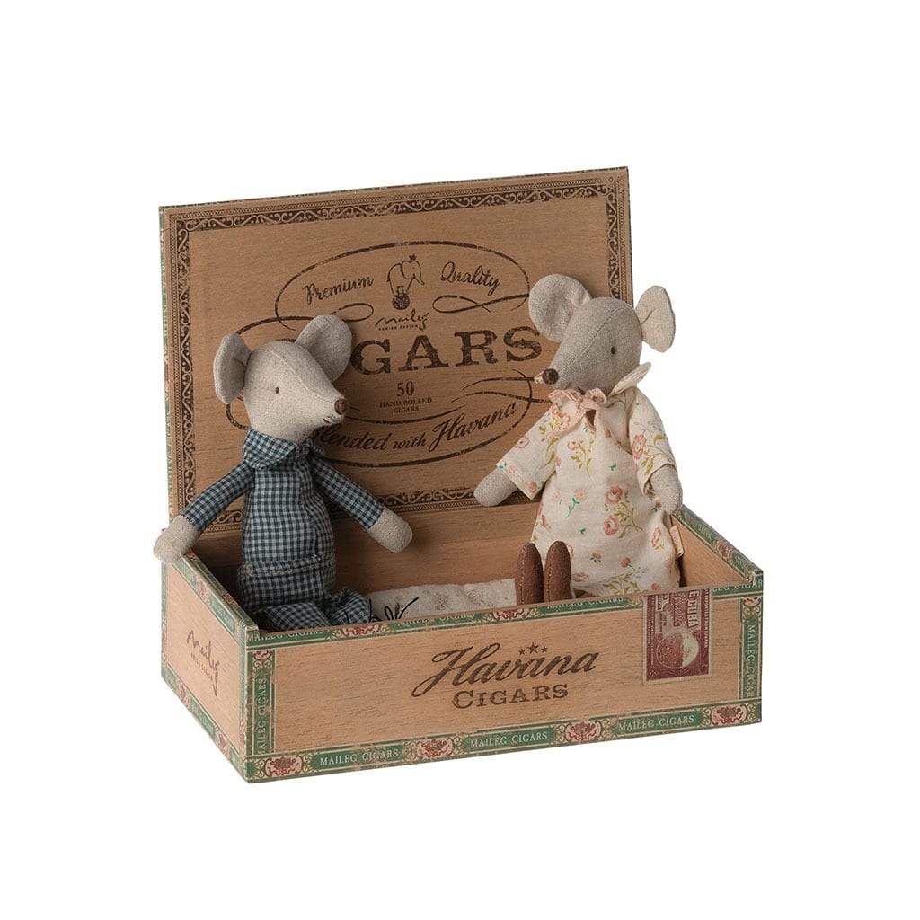 souris grand-père et grand-mère assis dans leur boîte