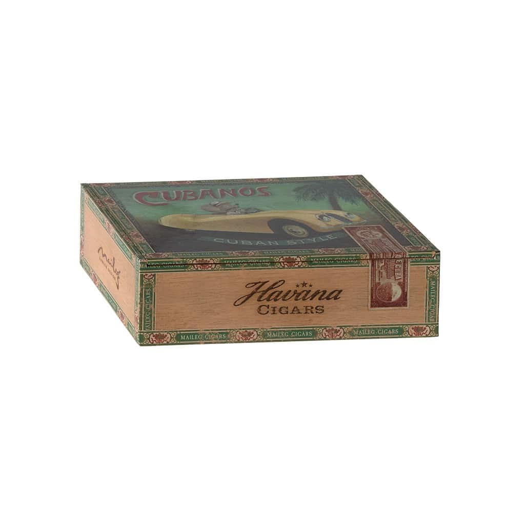 souris grand-père et grand-mère leur boîte