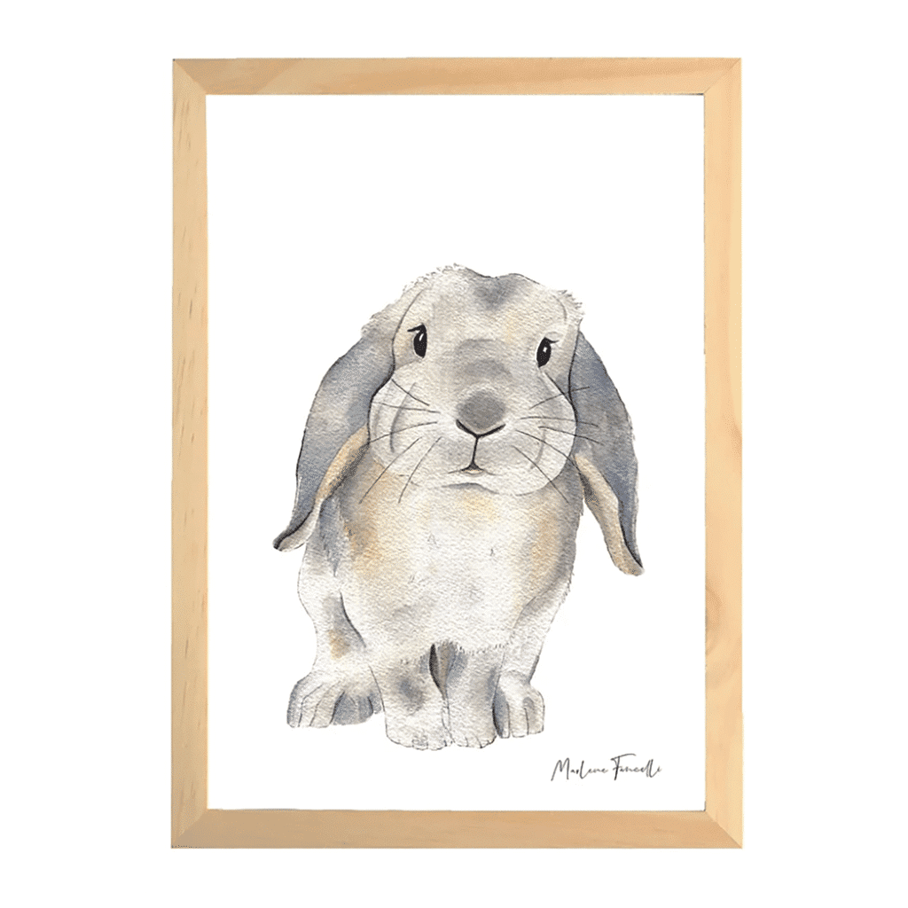 une affiche A4 lapin bélier Les Aquarelles De Marlène, vue de face sur fon blanc