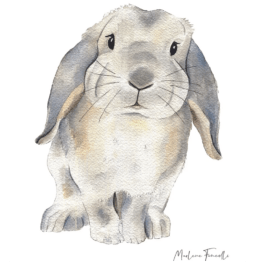une affiche A4 lapin bélier Les Aquarelles De Marlène, vue de face sur fon blanc