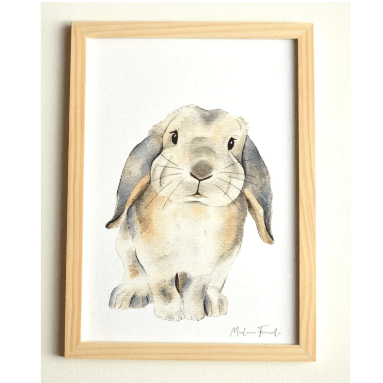 une affiche A4 lapin bélier Les Aquarelles De Marlène, ambiance