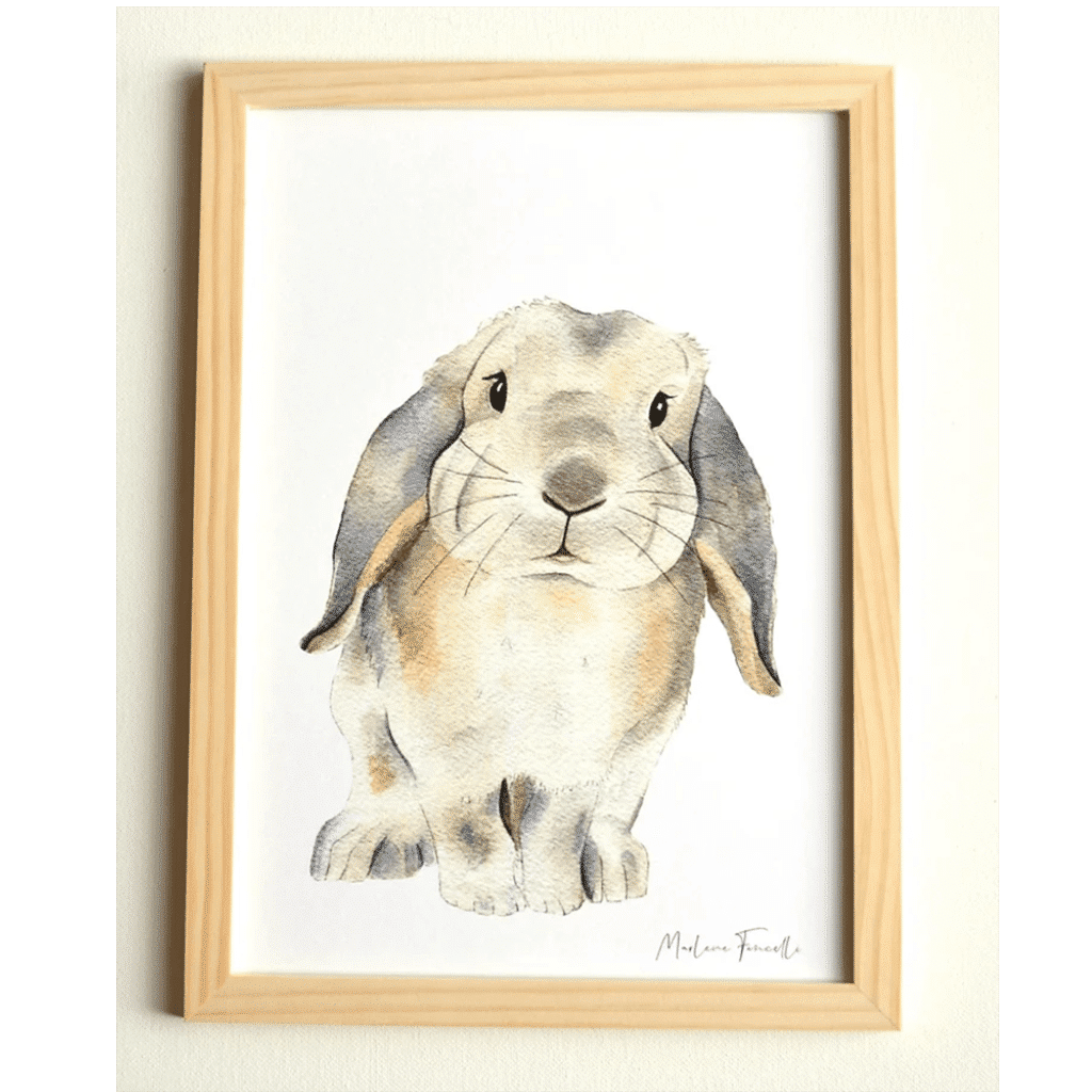 une affiche A4 lapin bélier Les Aquarelles De Marlène, ambiance