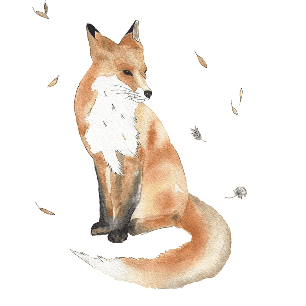 une affiche A4 renard, les aquarelles de Marlène, vue de face sur fond blanc