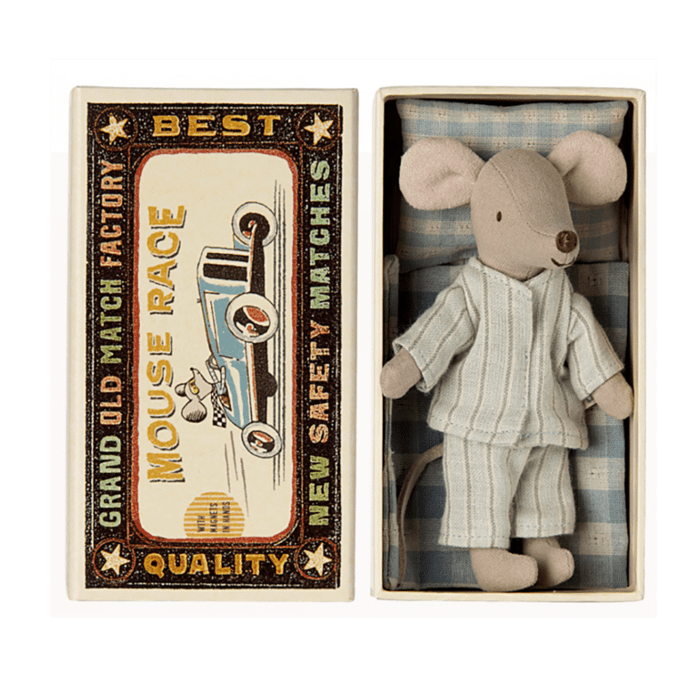 souris big brother dans sa boîte Maile, vue de face sur fond blanc