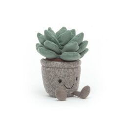 Plante succulente jellycat