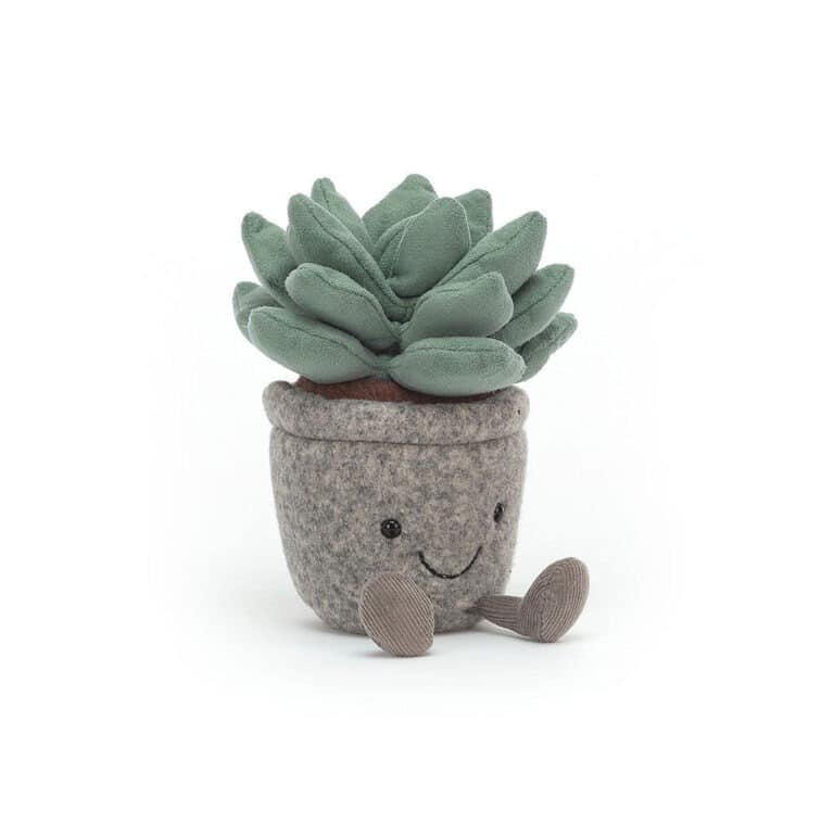 Plante succulente jellycat