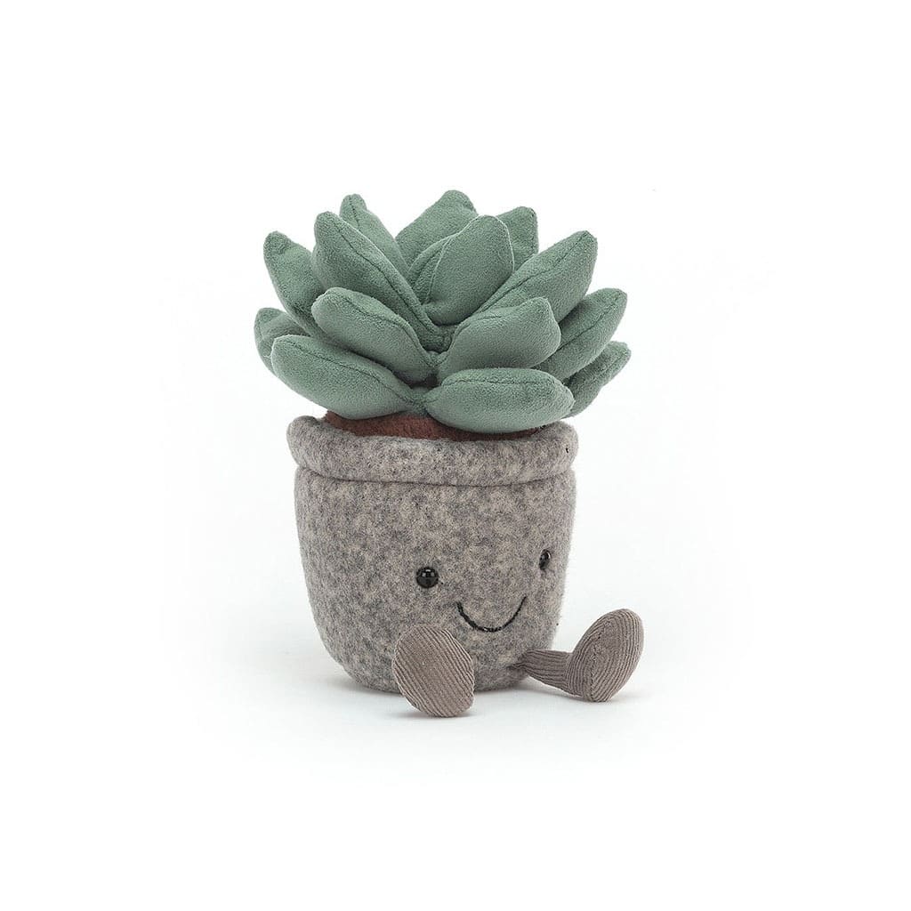 Plante succulente jellycat