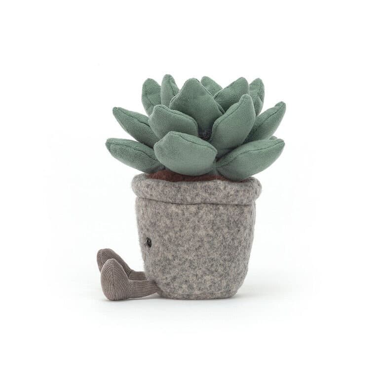 Plante succulente jellycat