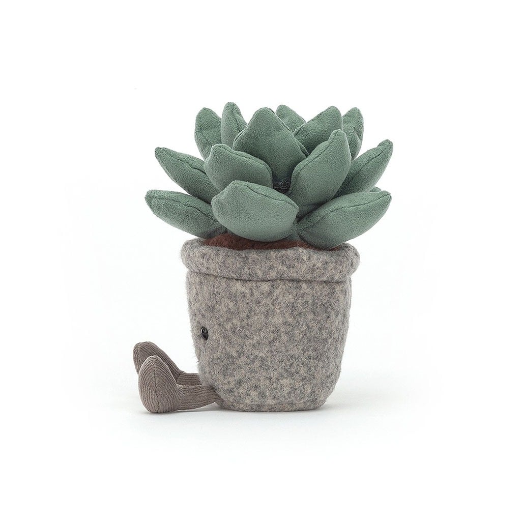 Plante succulente jellycat