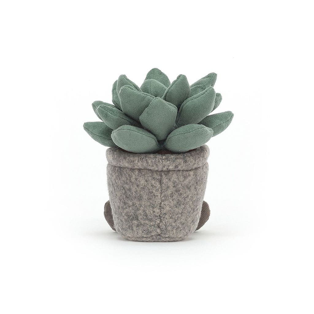 Plante succulente jellycat