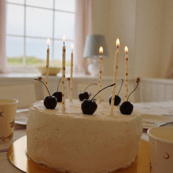 12 bougies anniversaire citrons konges slojd photo bougies allumées sur gâteau