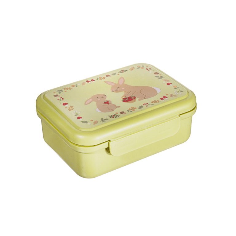 une boîte à goûter animaux du jardin Sass&Belle, vue de face sur fond blanc