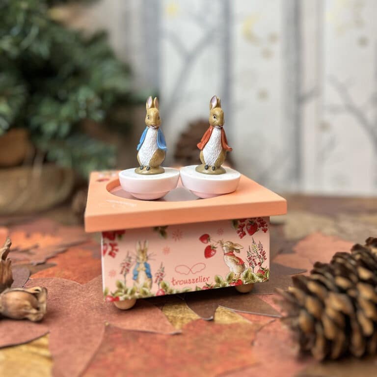 boite musique dancing pierre lapin rose ambiance