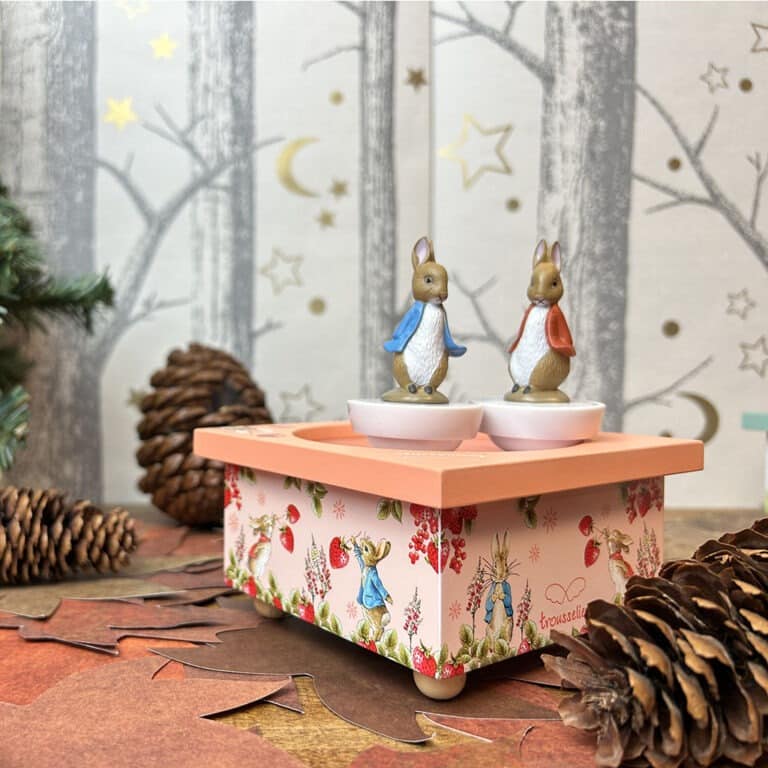 boite musique dancing pierre lapin rose ambiance bis