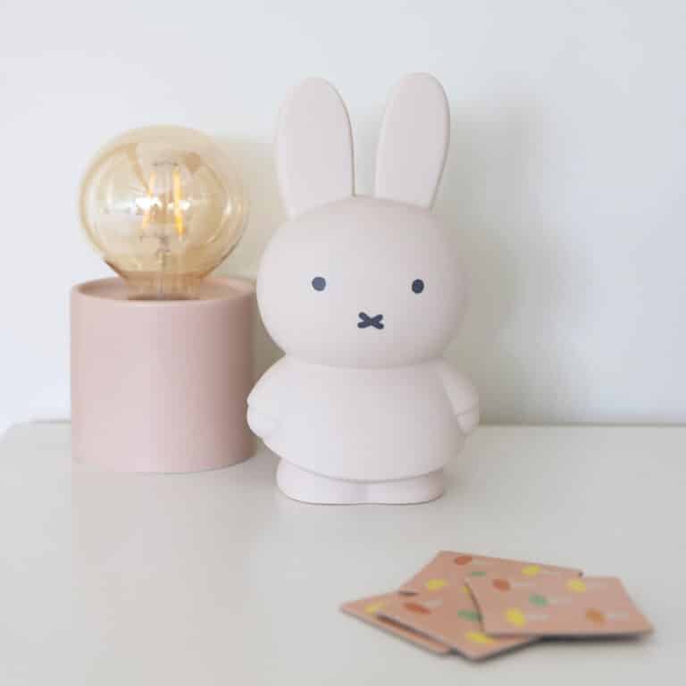 tirelire miffy sable illustration