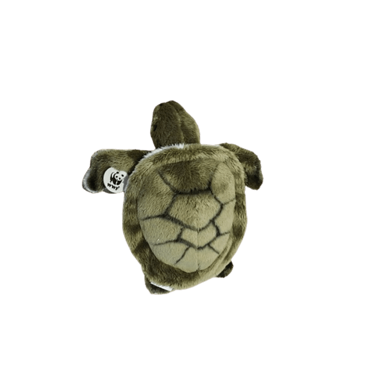 doudou tortue bon ton toys wwf vue de haut sur fond blanc