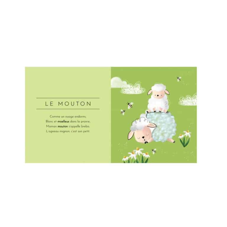 un livre de poche touche à tout animaux Sassi, ouvert vue de face sur fond blanc