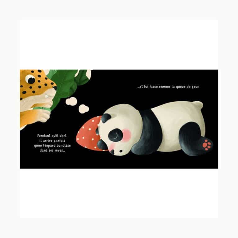 sassi_livre-pas-a-pas-je-range-tetine3