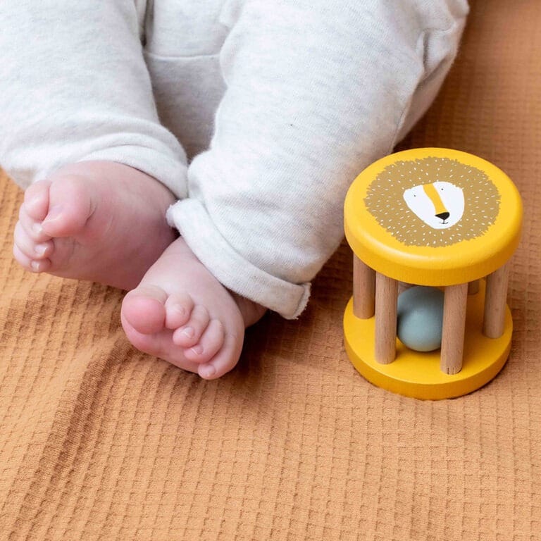 trixie_hochet-roulant-bois-mr-lion2