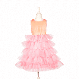 Déguisement Robe De Princesse Lysanna - Rose - Souza 2