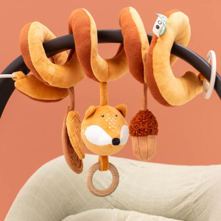 Spirale d'activité Mr renard mise en situation