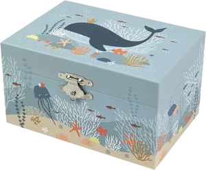 Boîtes à bijoux & de rangement