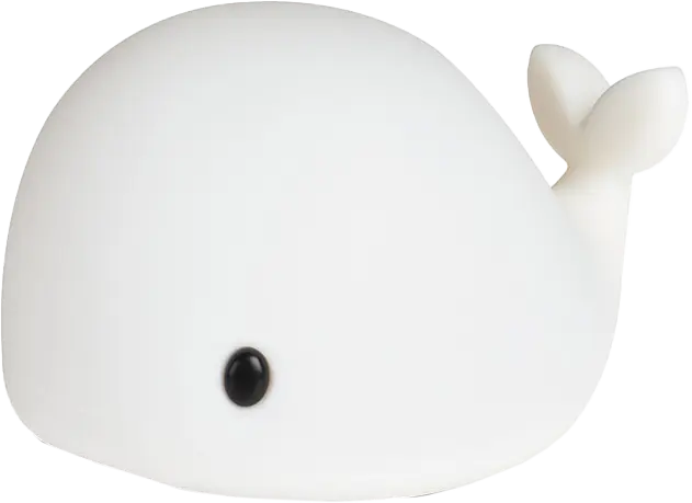Eclairer