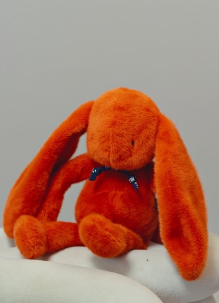 Peluche Le Lapin Méloé - Potiron - Maïlou - ambiance