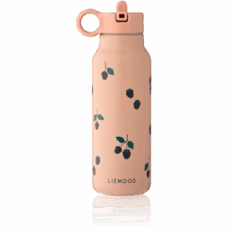 Gourde baies rose de face sur fond blanc