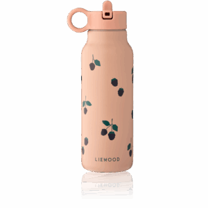 Gourde baies rose de face sur fond blanc