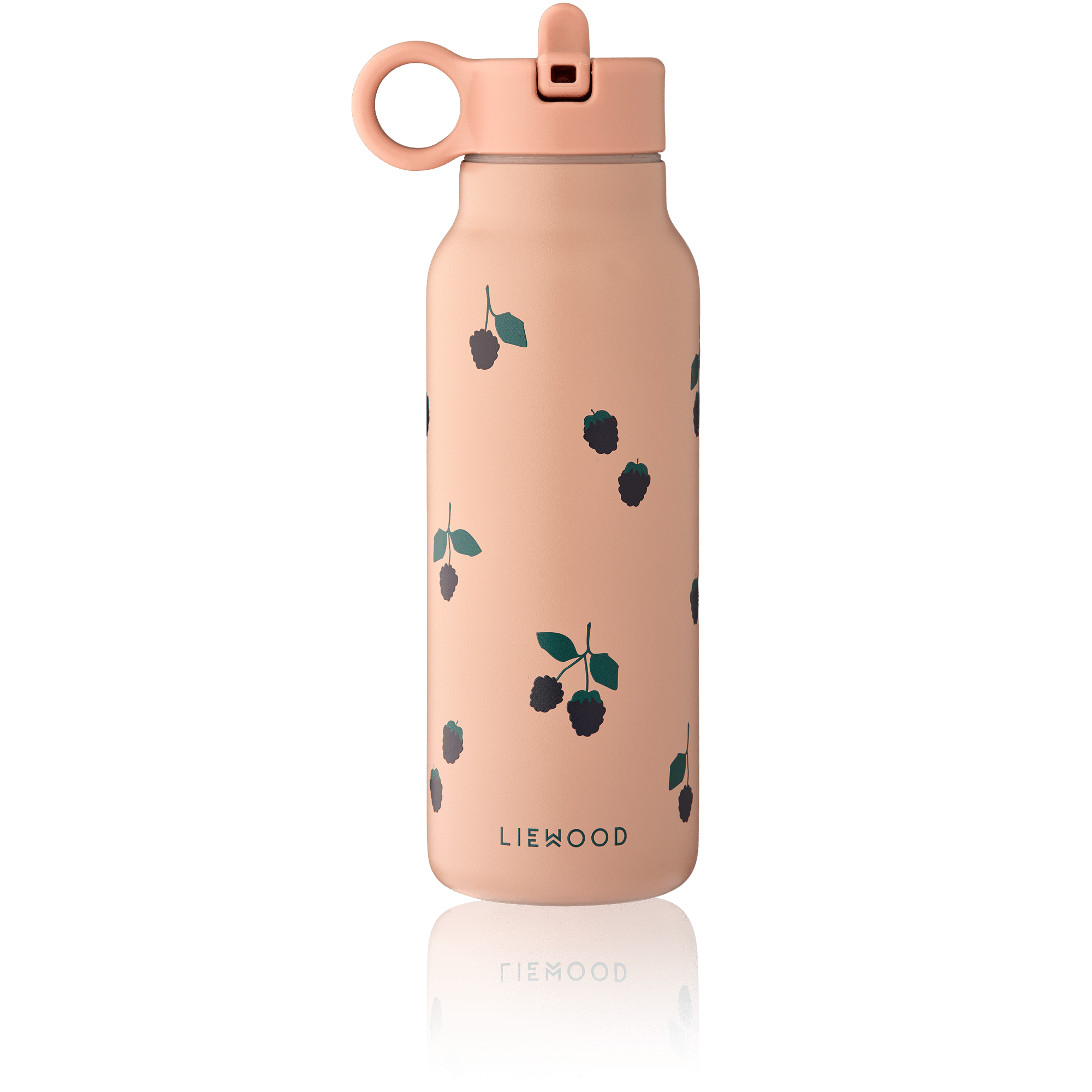 Gourde baies rose de face sur fond blanc