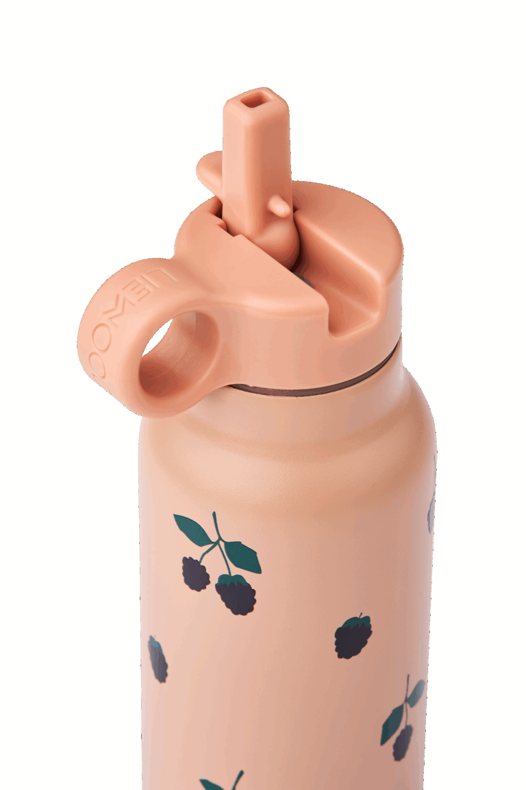 Gourde baies rose vue de près sur fond blanc