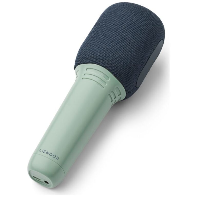 micro enfant haut parleurs intégrés changement voix, idées cadeaux Vannes