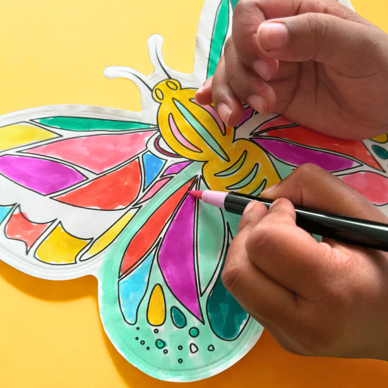 Coloriages gonflables - Papillons - Ara Créative, vue d'ambiance d'un enfant qui colorie