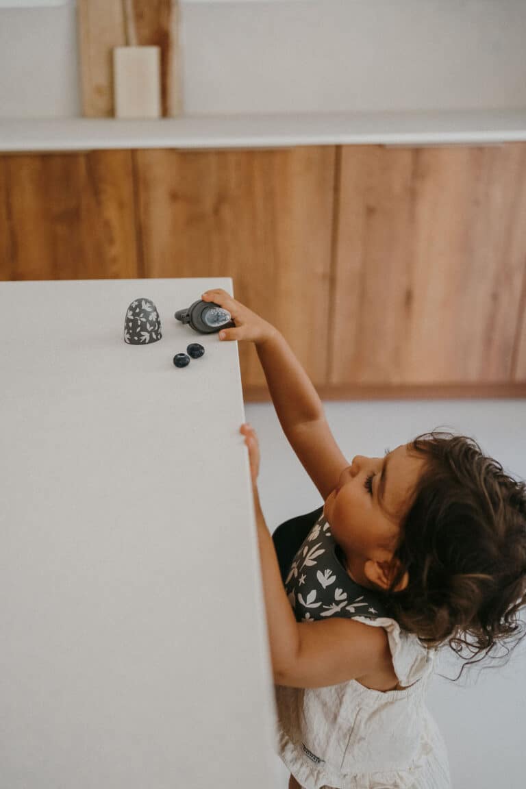 Grignoteuse “Birdy”- Zakuw - Ambiance