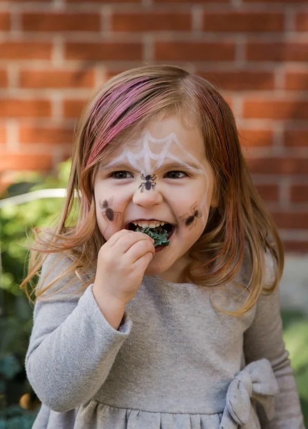 maquillage enfants, maquillage Halloween, tuto maquillage araignée enfant, tuto maquillage diable enfant, halloween déguisement enfant, palette maquillage bio enfants, maquillage non nocif enfants