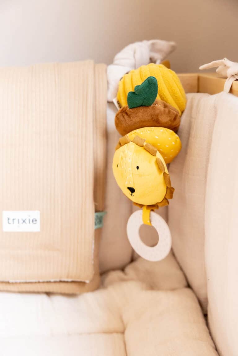 Hochet vibrant – Mr Lion – Trixie Baby - Ambiance