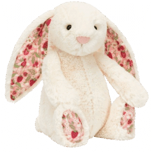 Le monde des animaux