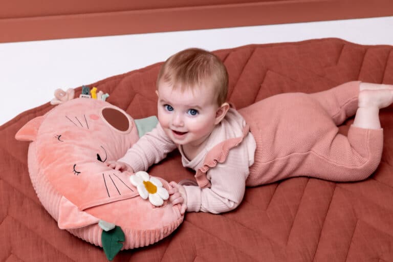Trixie_coussin-d-activites-mlle-chat (3)