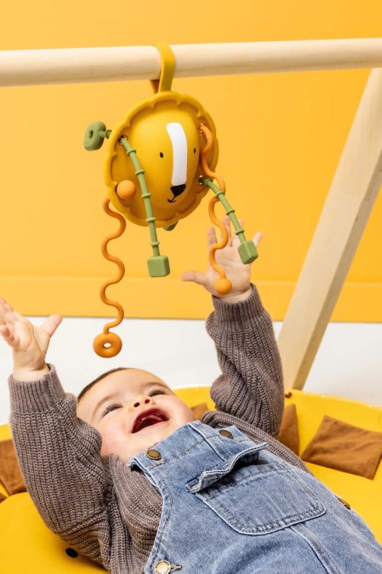 Jouet sensoriel à tirer en silicone mr lion de trixie ambiance
