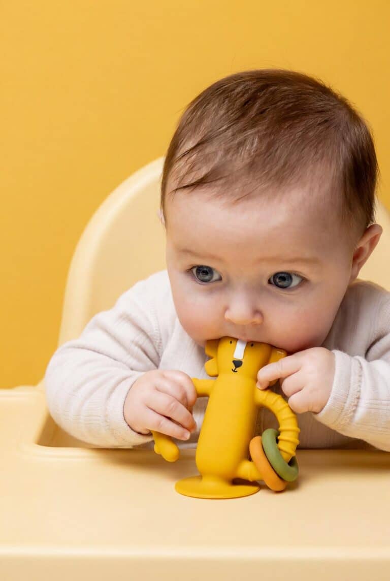 Jouet sensoriel en silicone avec ventouse mr lion de trixie ambiance